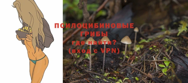 a pvp Алзамай