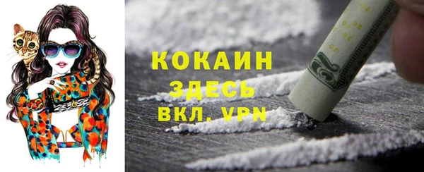 a pvp Алзамай