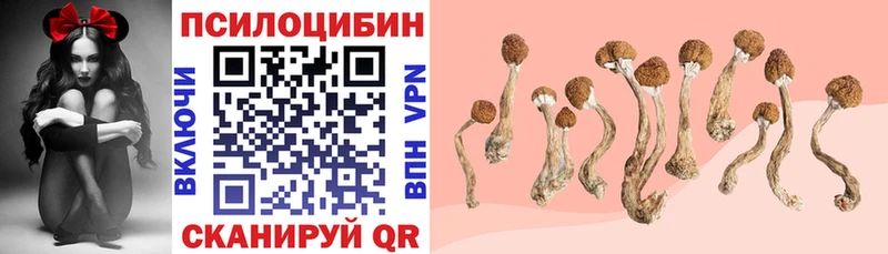 KRAKEN как зайти Углич Галлюциногенные грибы Psilocybine cubensis