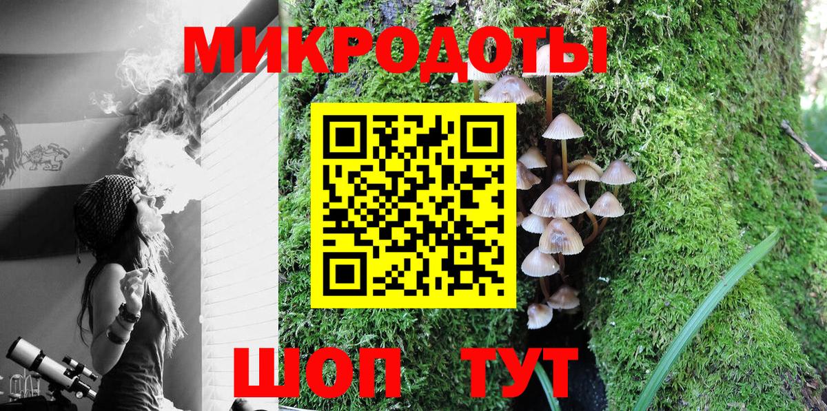 Псилоцибиновые грибы GOLDEN TEACHER Углич